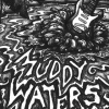 muddy waters