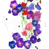 flowers_small