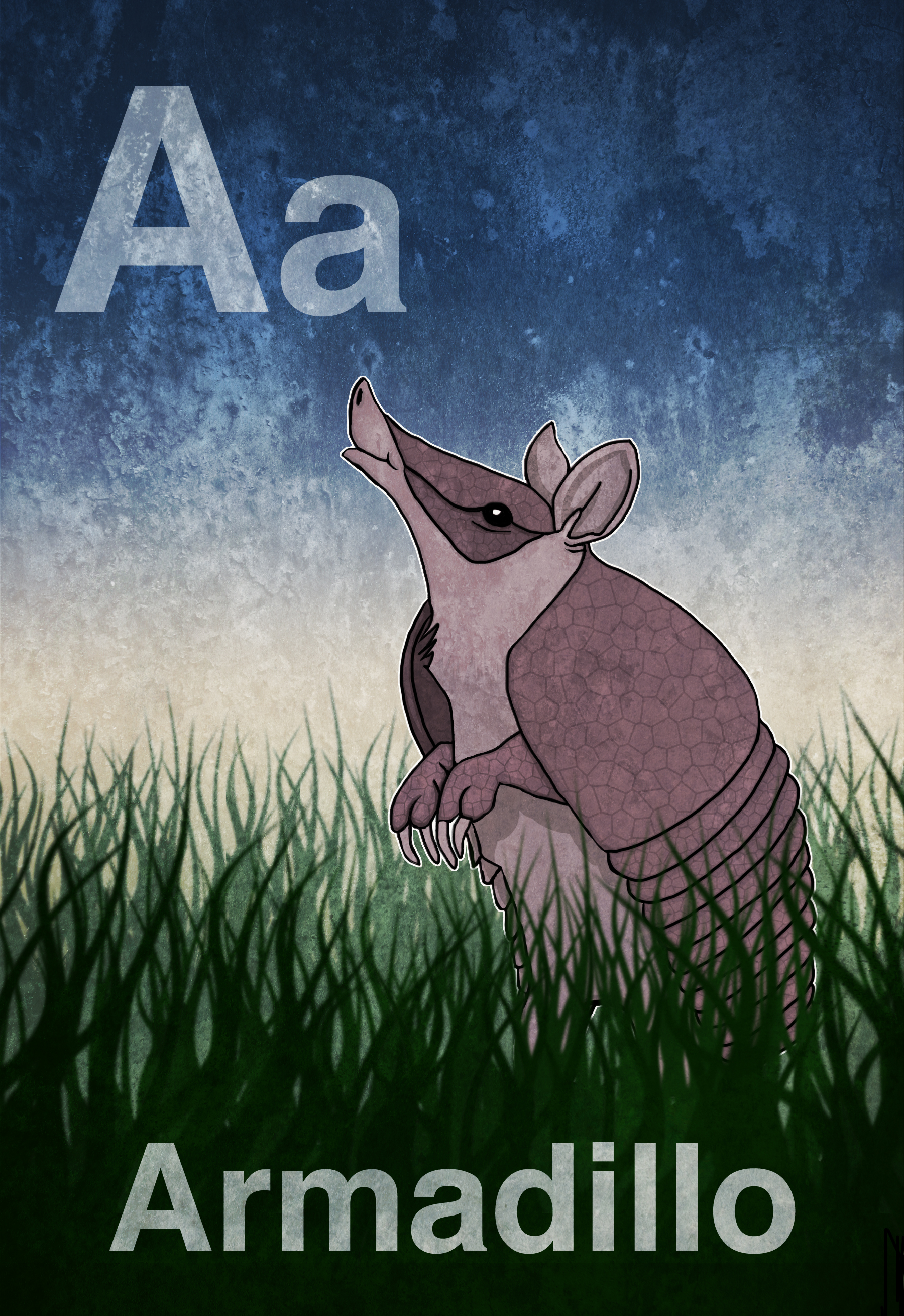 Armadillo